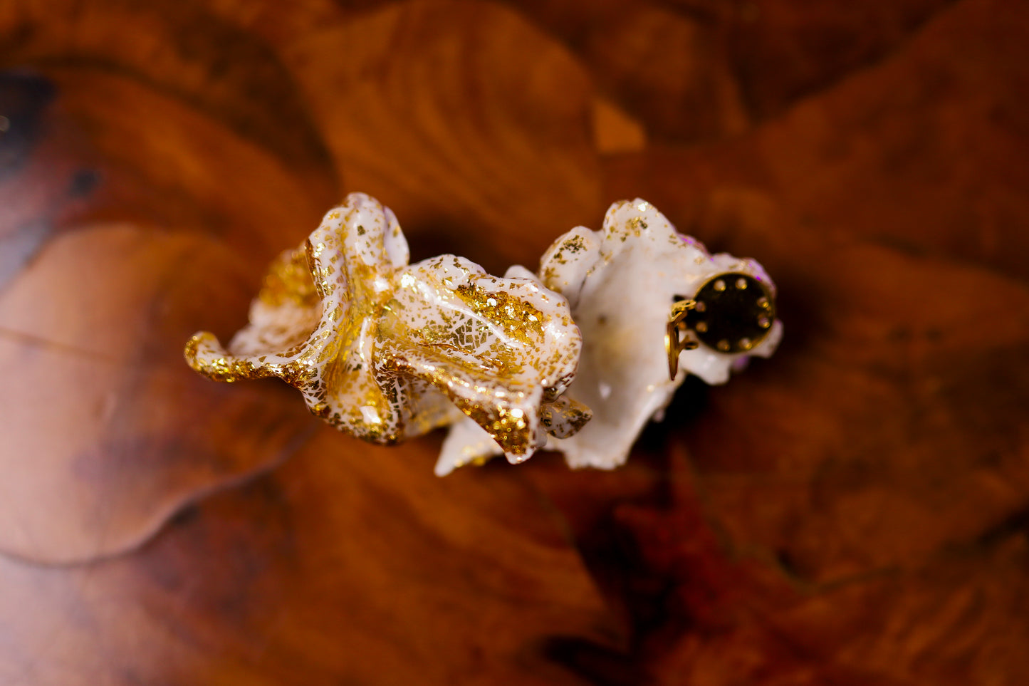 πππππππ ππ πππππππππ bianca