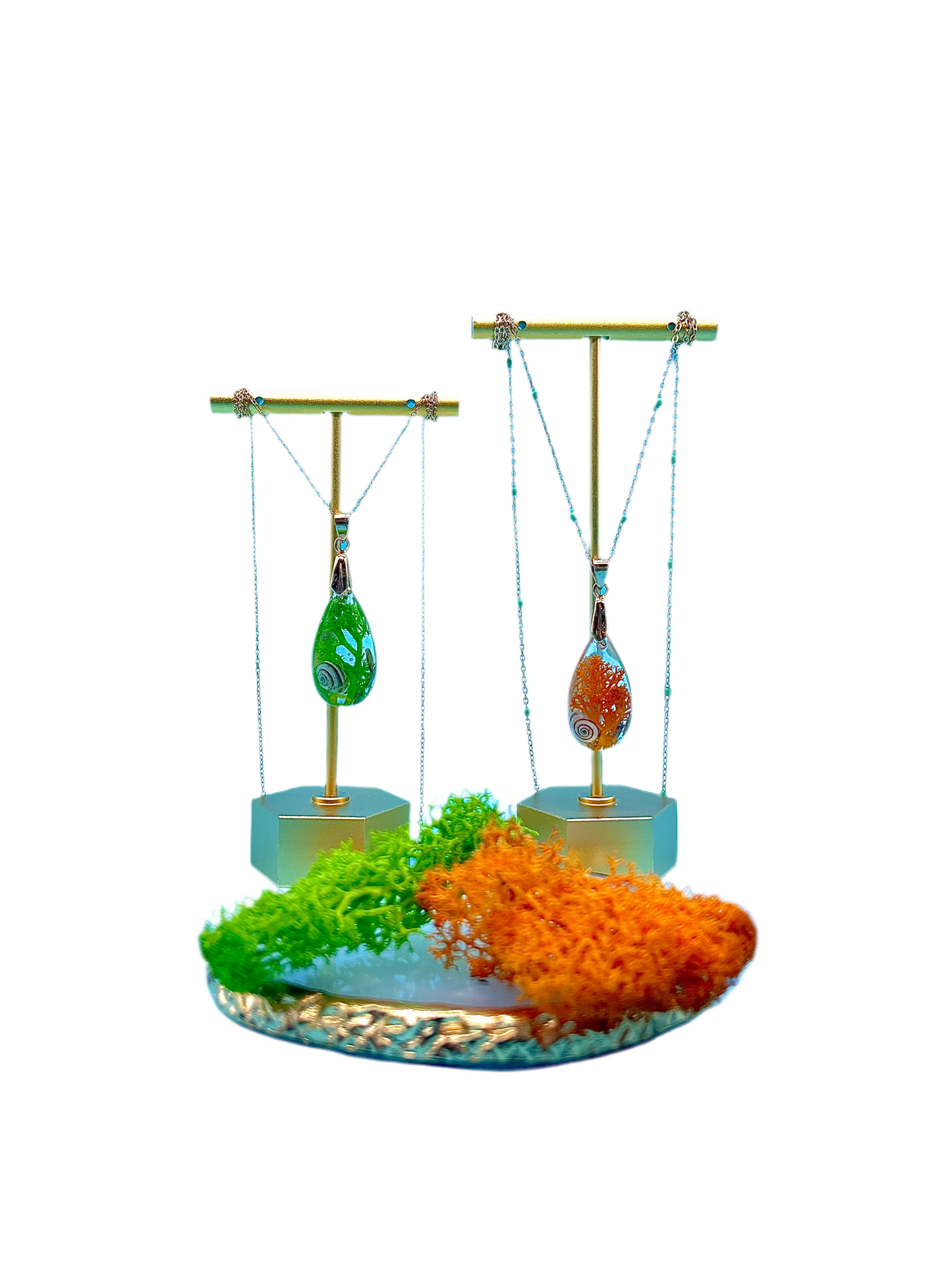 πΈπππ ππ π‘πππ πͺΈ