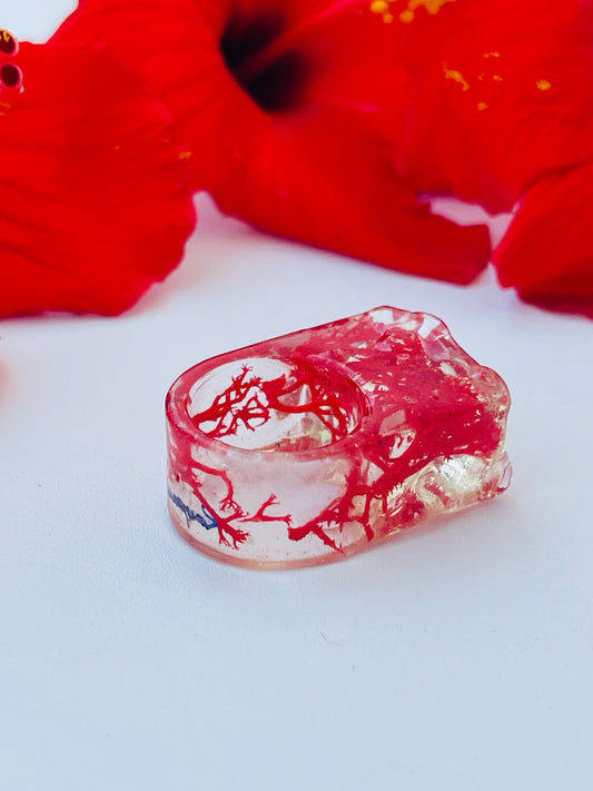 Coral Heart πͺΈ