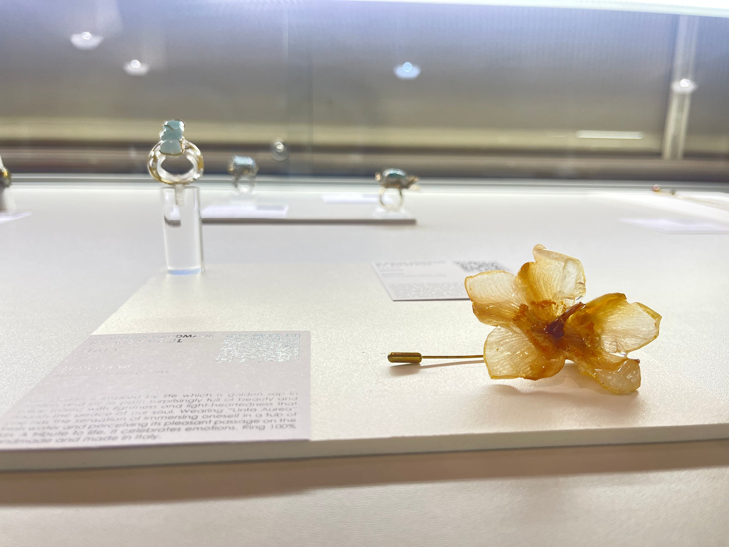 πΏππππ π΄π’πππ