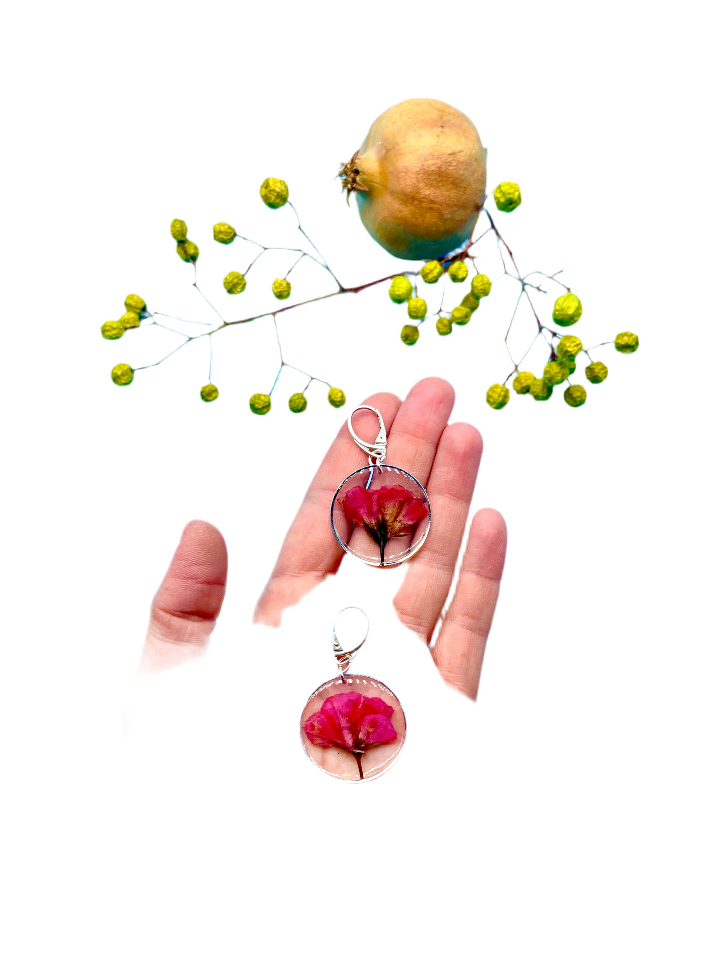 ππ signed ππβπππ