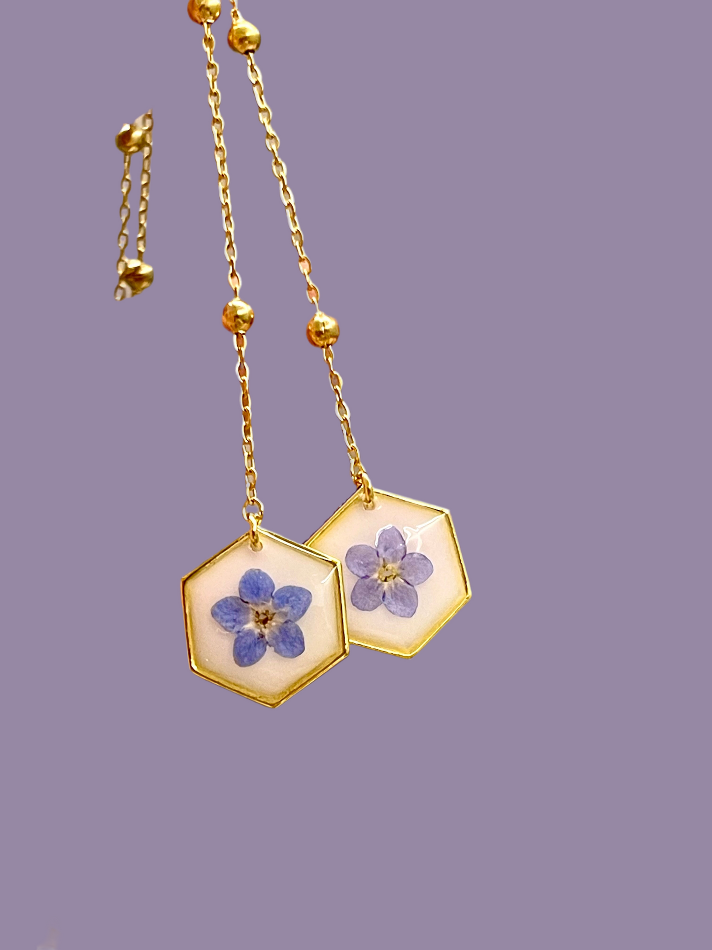 ππππ πππβπ‘ ππππ πππππ πΏππππ