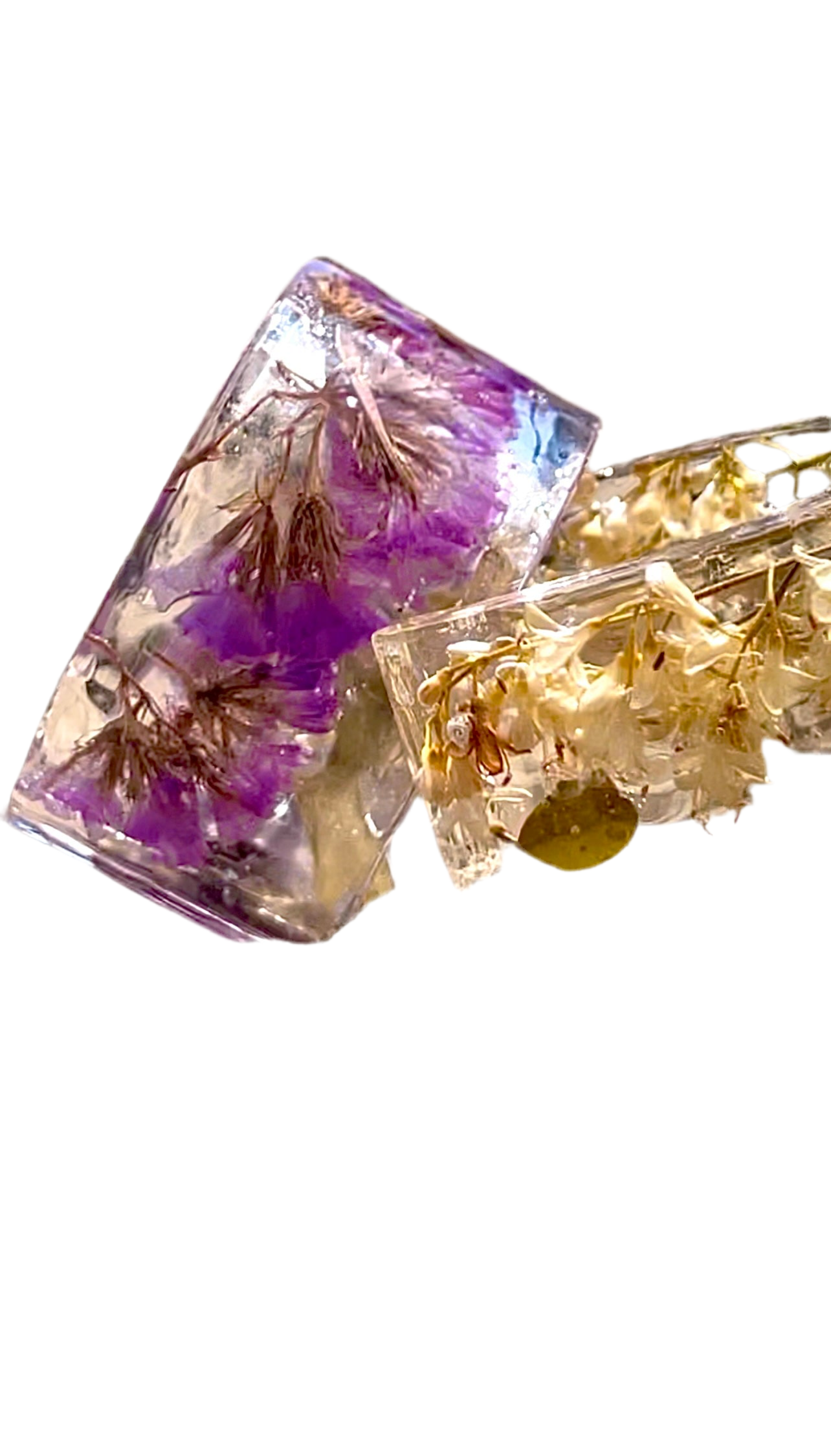 π΅ππππππππ π π’ππππ πππππ