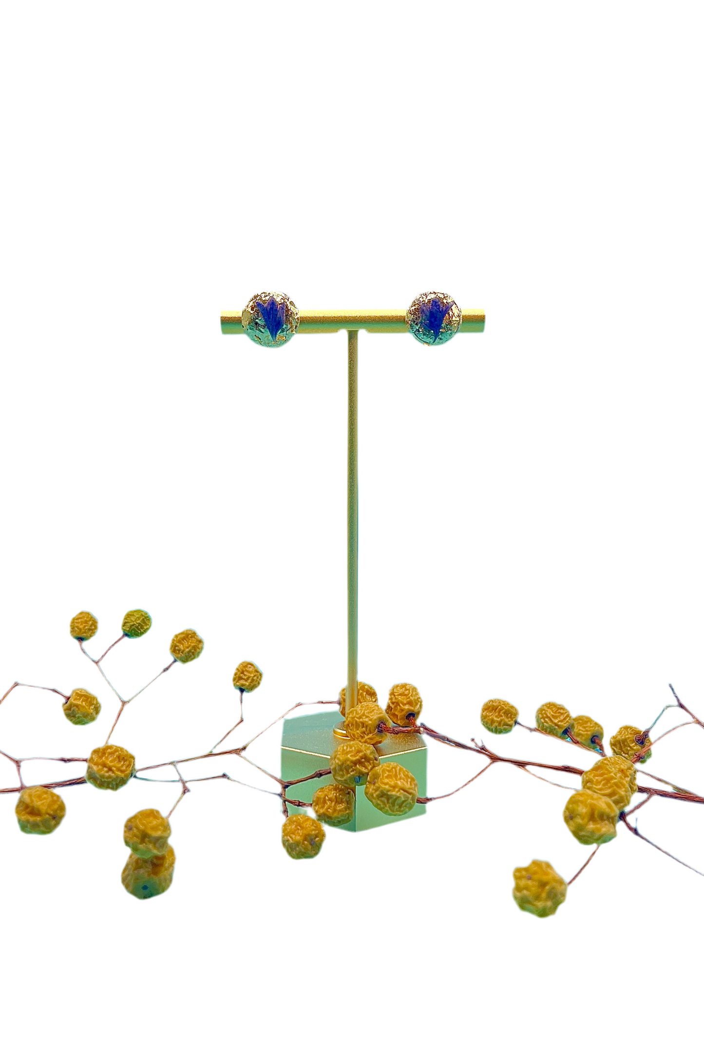 π΅ππ-πππ πππππ‘πβ¨