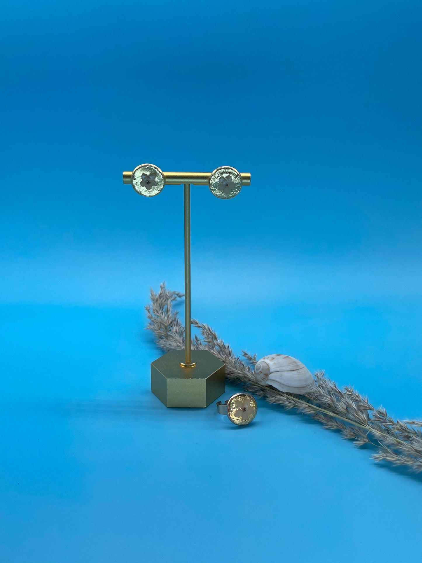 πππ π‘π π ππππππ ππ ππ πππππβπ