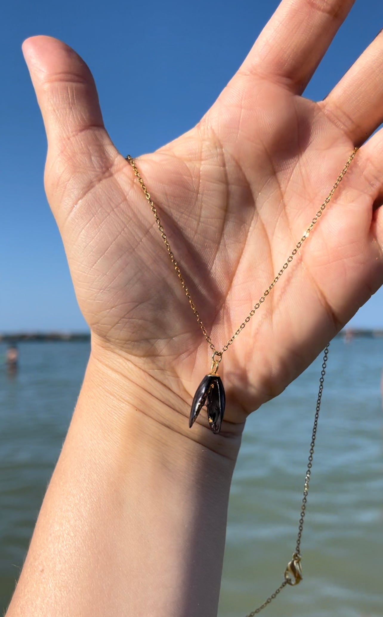 πΆπππππ’π₯ ππ ππ πππ