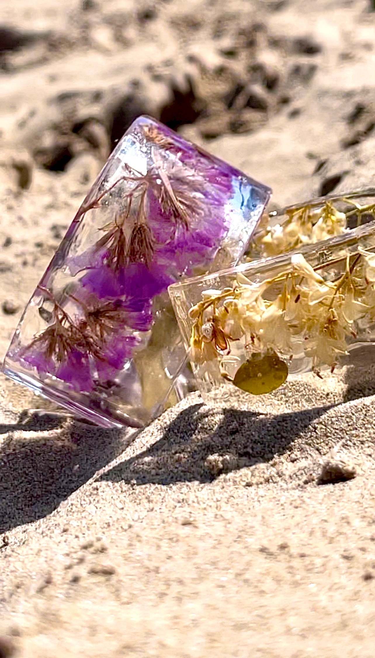 π΅ππππππππ π π’ππππ πππππ