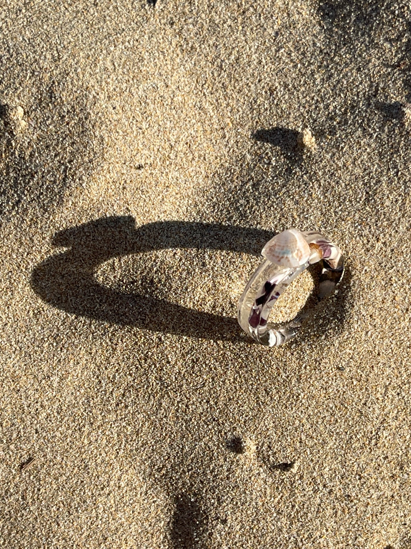 πΈππππ‘π  ππ πππ - πΉπππππππ‘π ππ ππππ