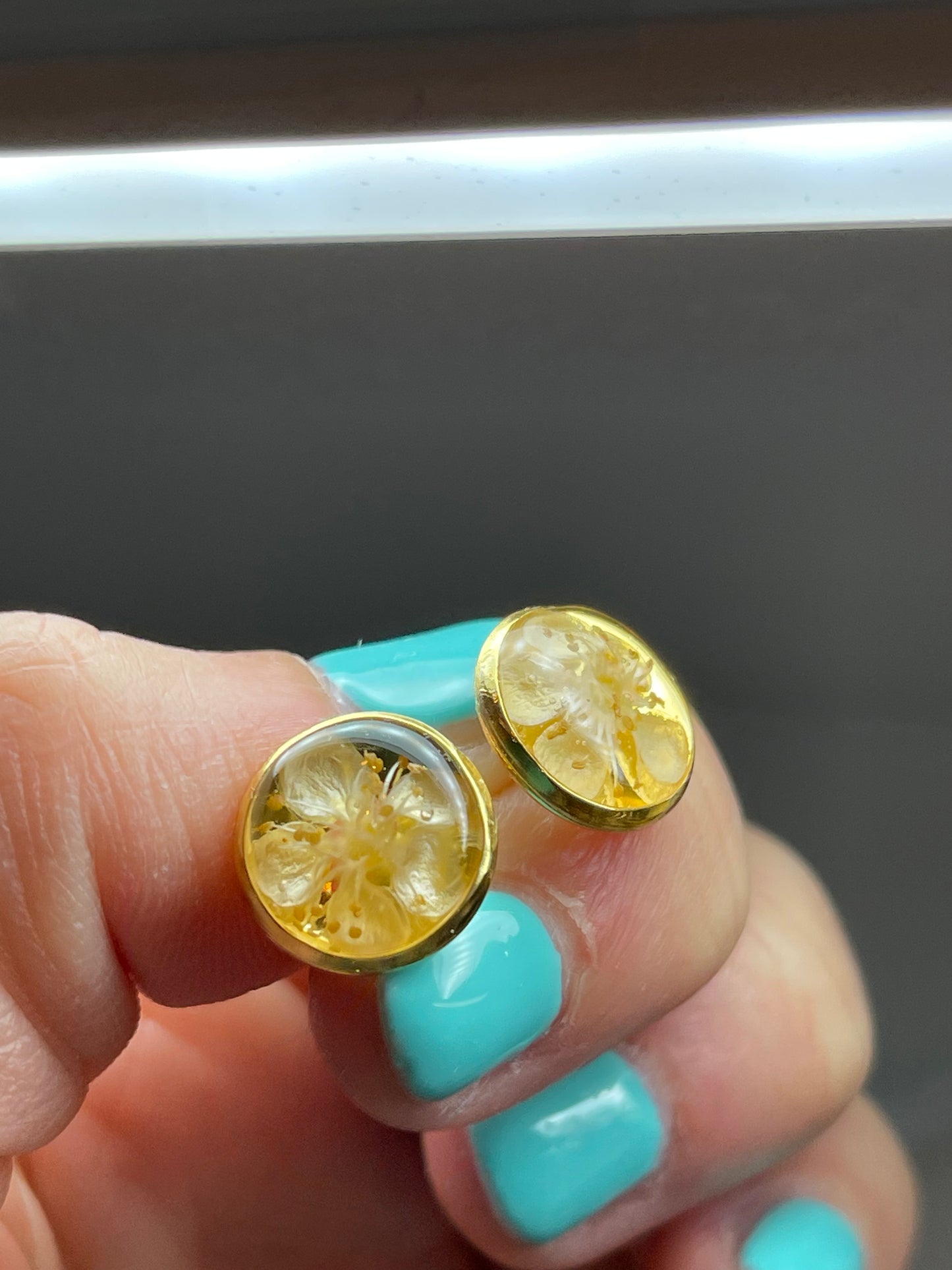 ๐ผ "๐๐๐๐๐๐ ๐๐ ๐ถ๐๐๐ก๐๐" ๐ผ