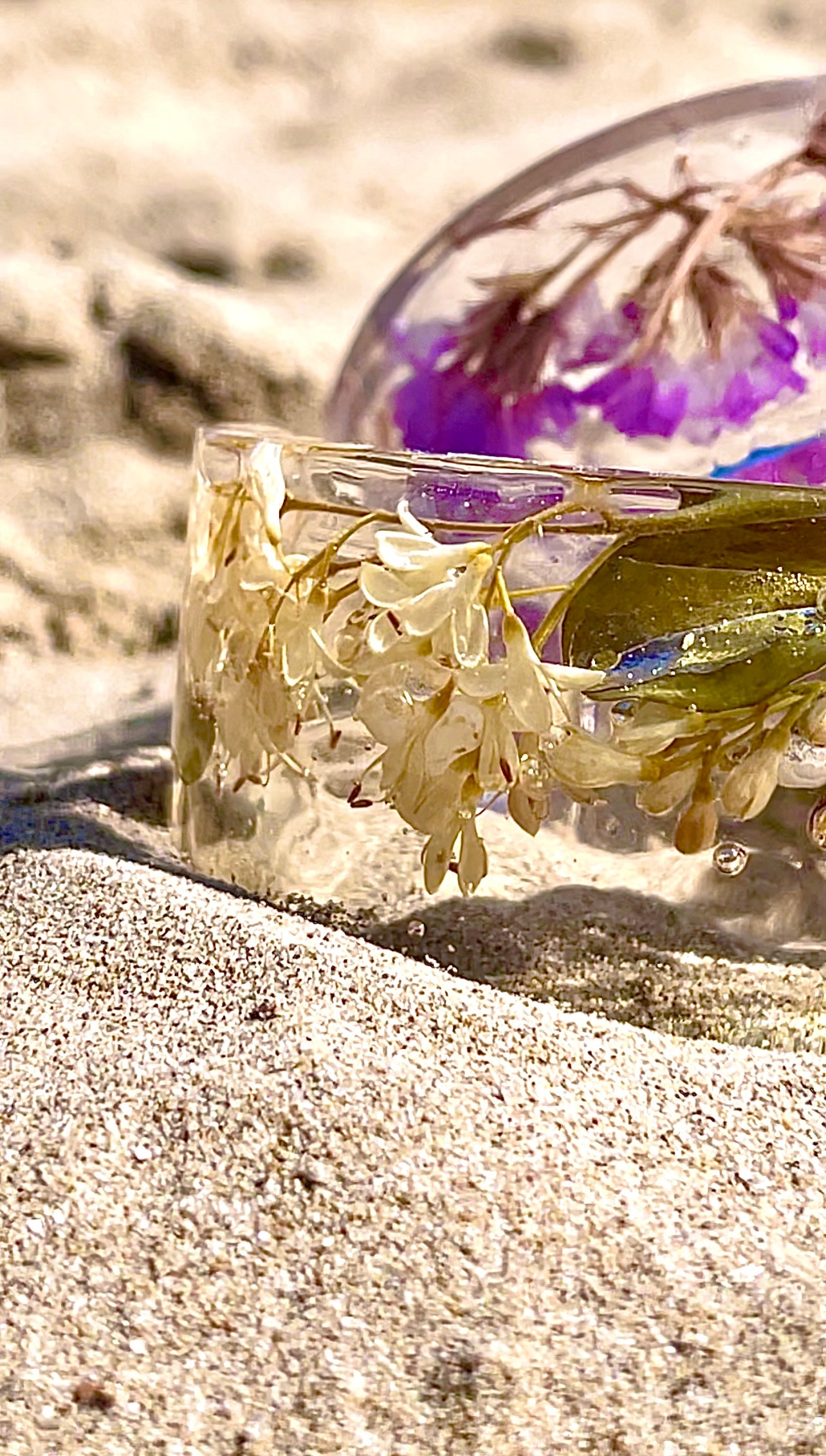 π΅ππππππππ π π’ππππ πππππ