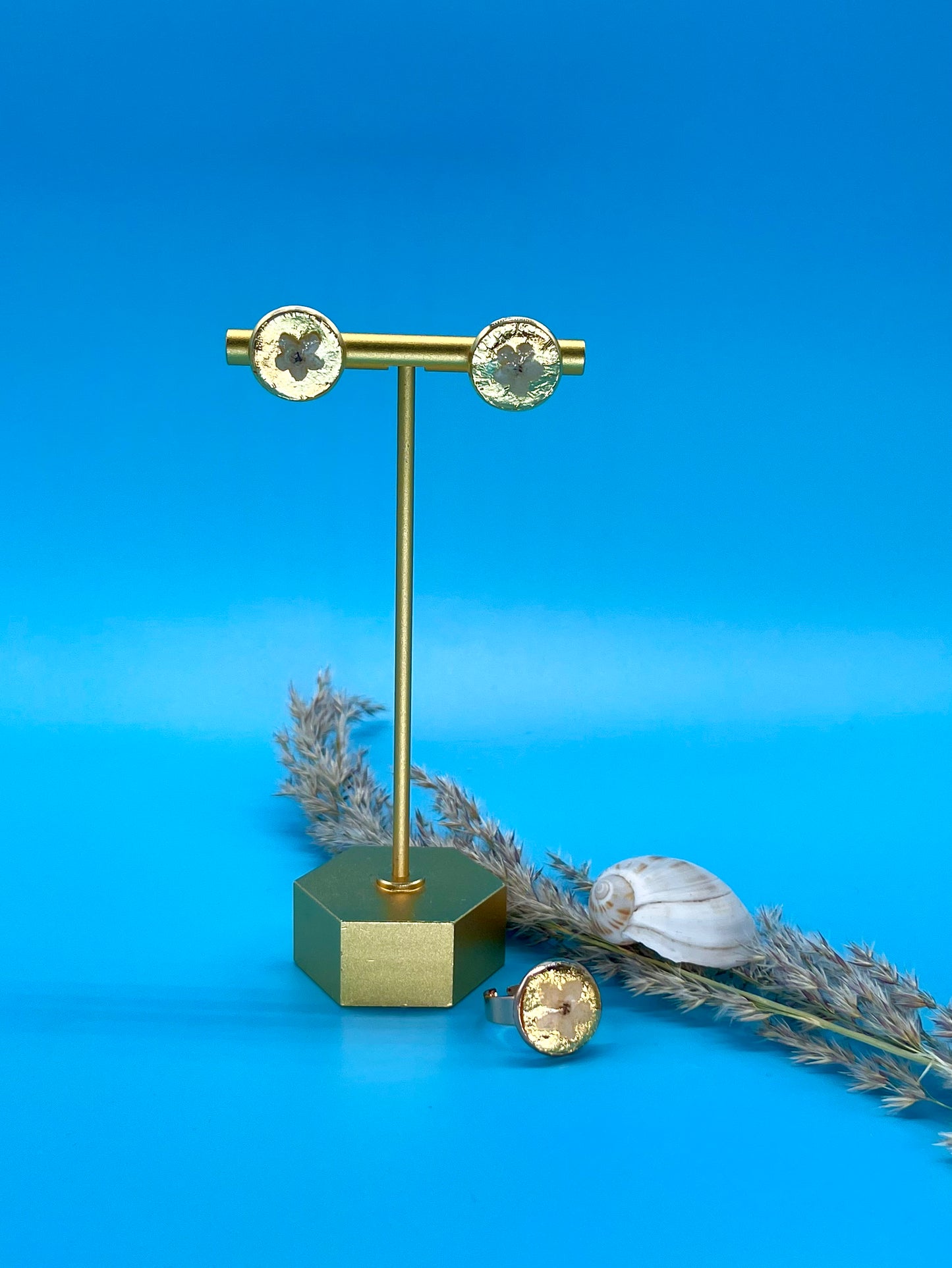 πππ π‘π π ππππππ ππ ππ πππππβπ