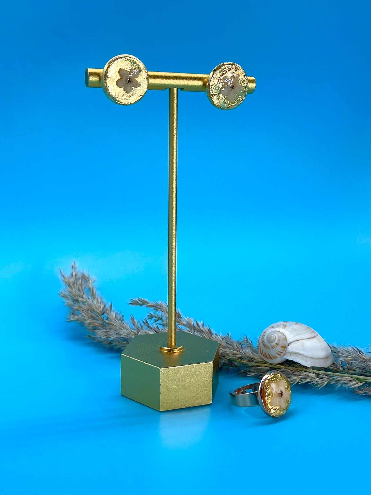 πππ π‘π π ππππππ ππ ππ πππππβπ