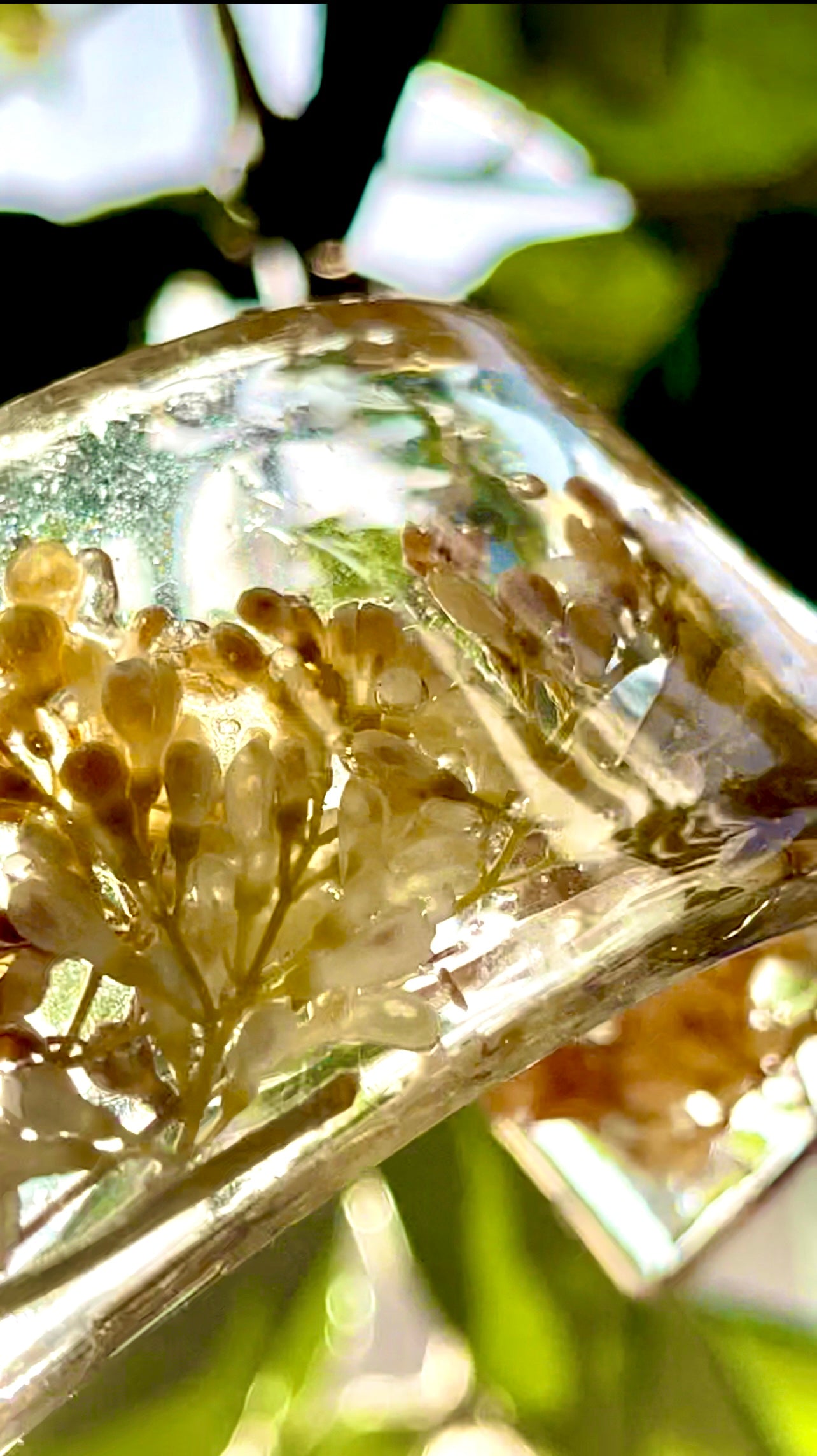 π΅ππππππππ π π’ππππ πππππ