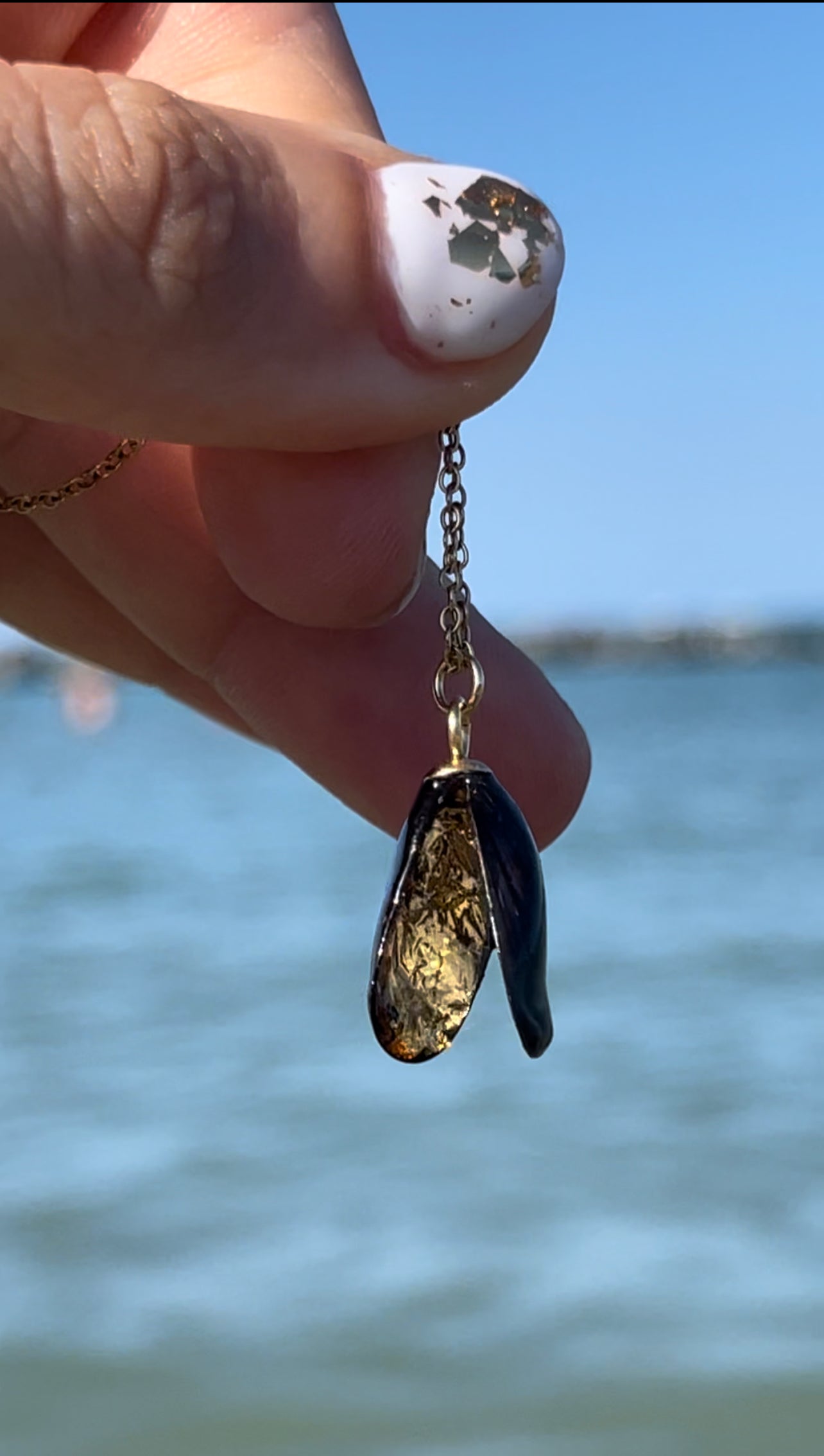 πΆπππππ’π₯ ππ ππ πππ