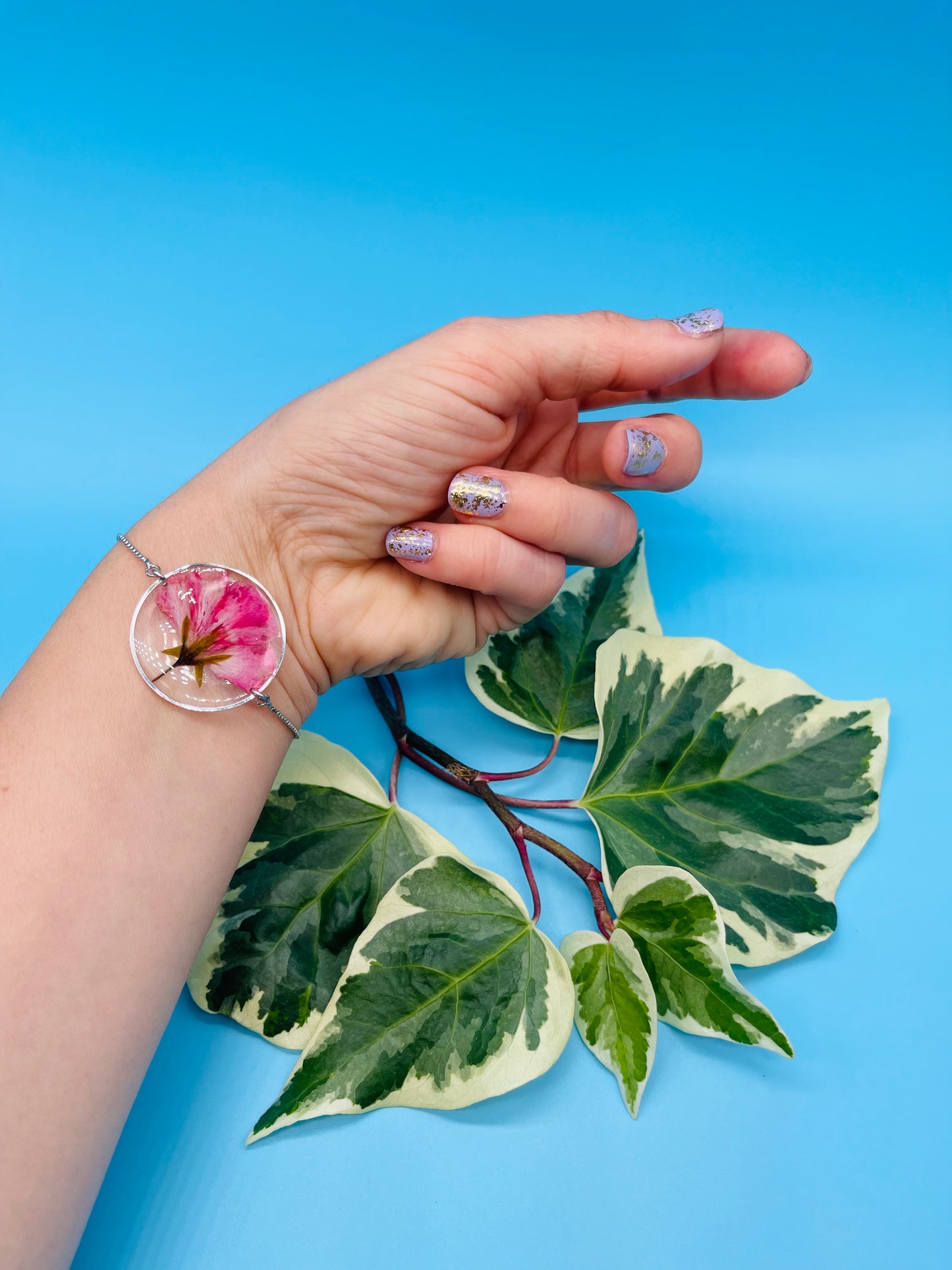 π΅πππππππ π π’πππ πππππ