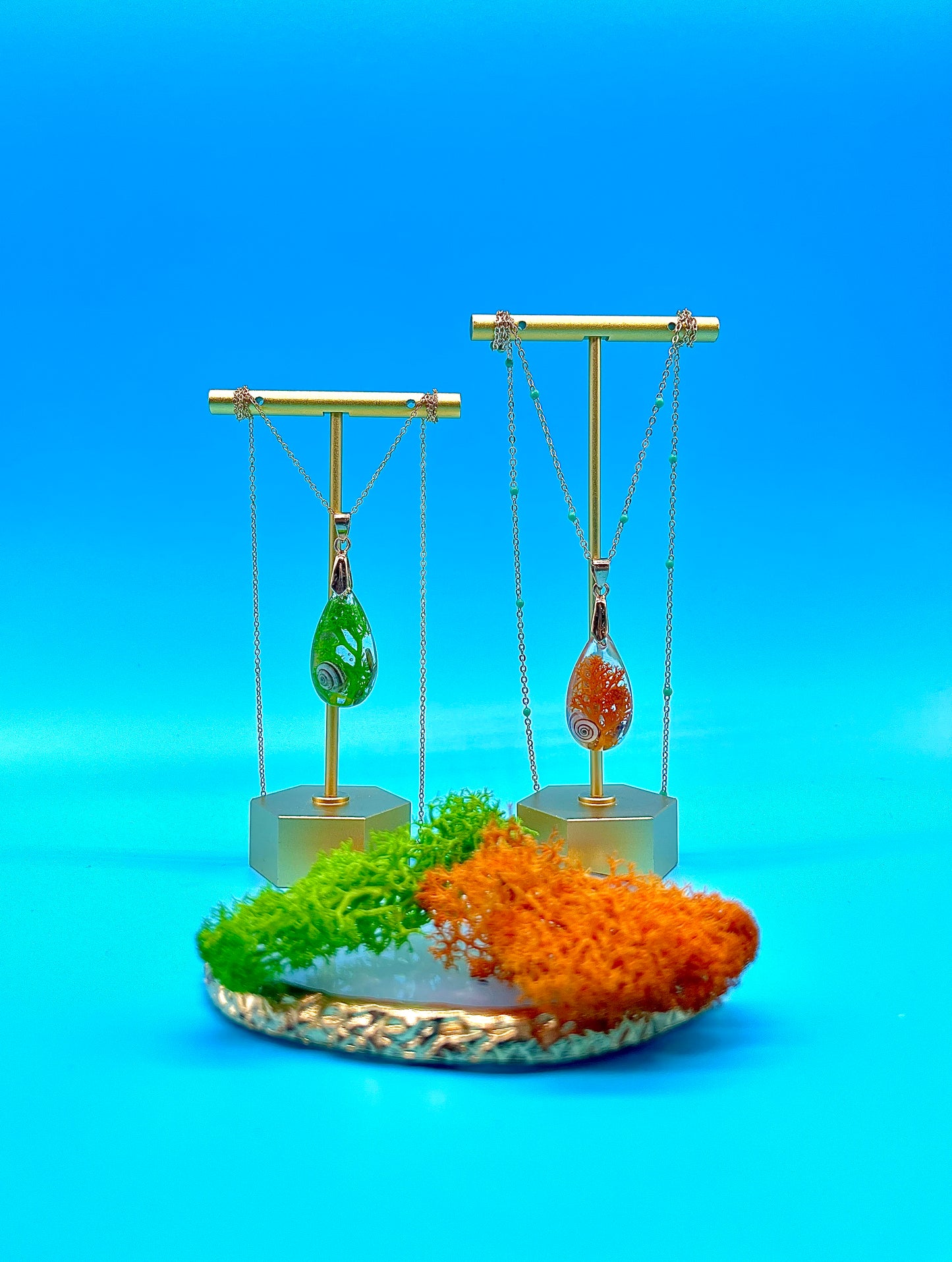 πΈπππ ππ π‘πππ πͺΈ