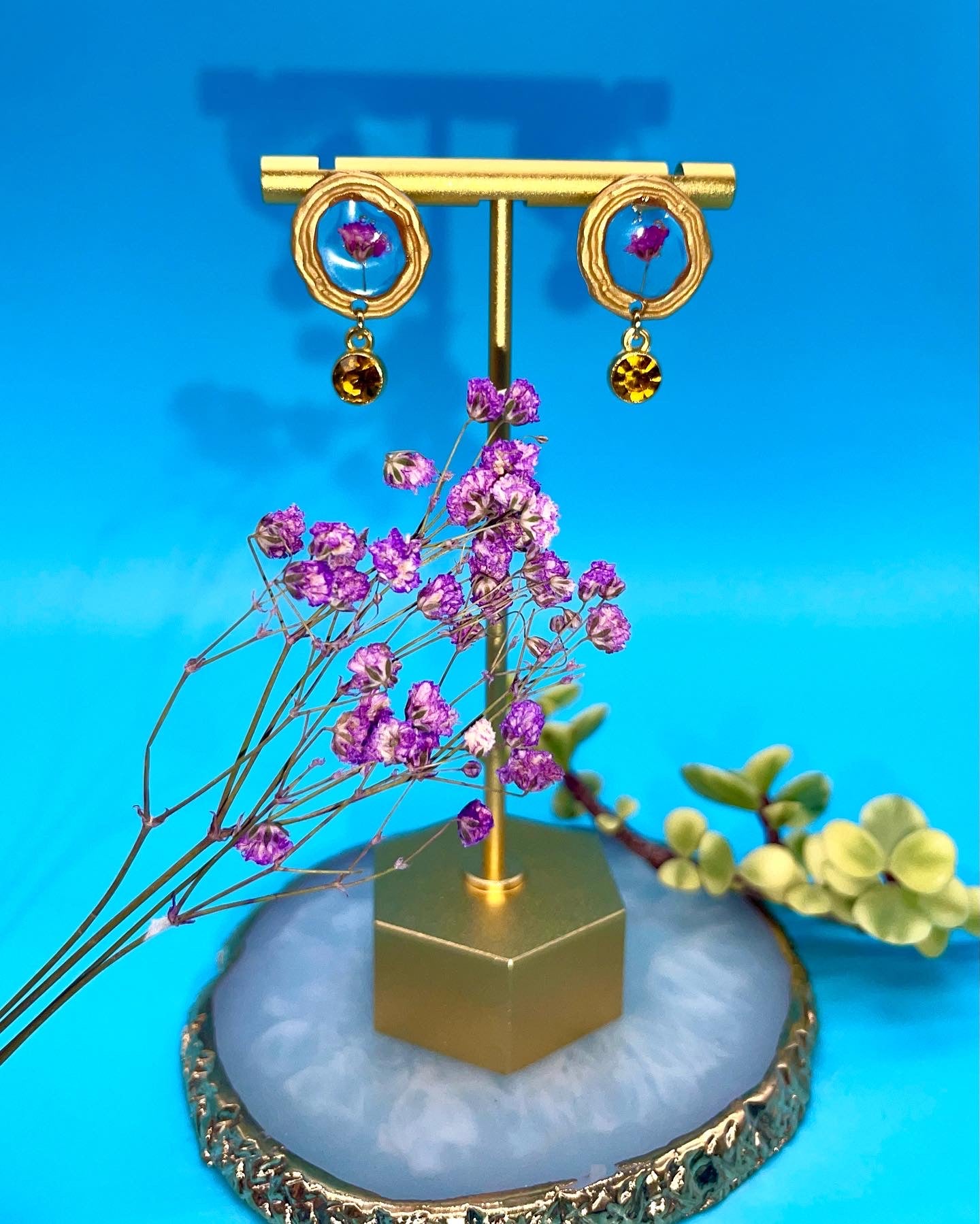 ππππππππππ πππππ π·