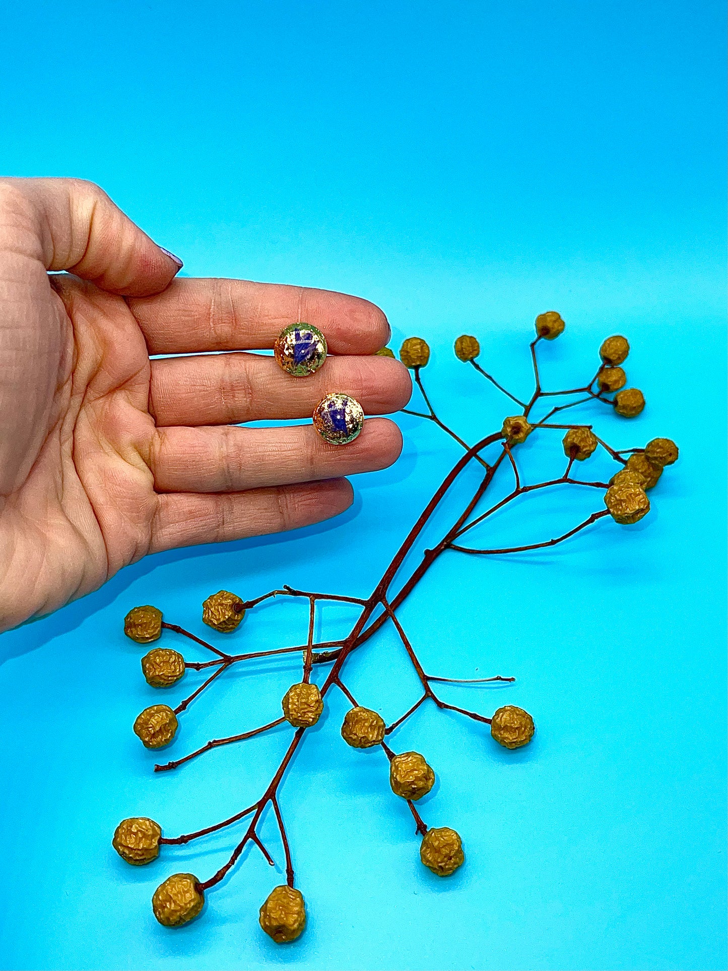 π΅ππ-πππ πππππ‘πβ¨