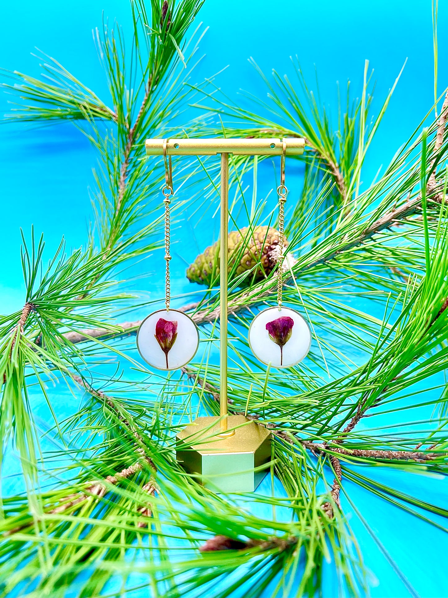 π΅πππππππ πππriamoππ‘πππ