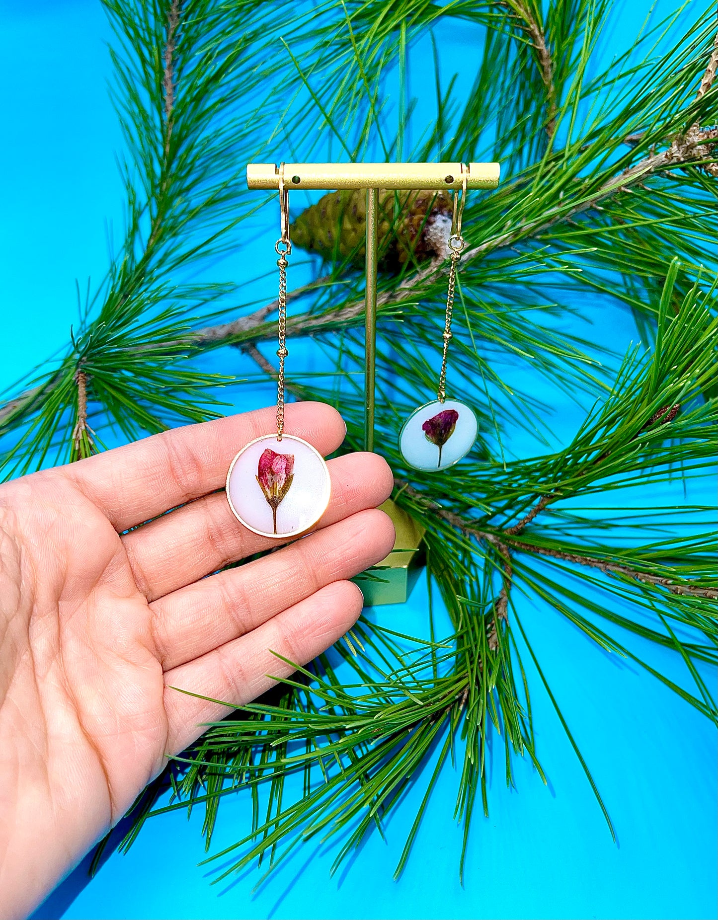 π΅πππππππ πππriamoππ‘πππ