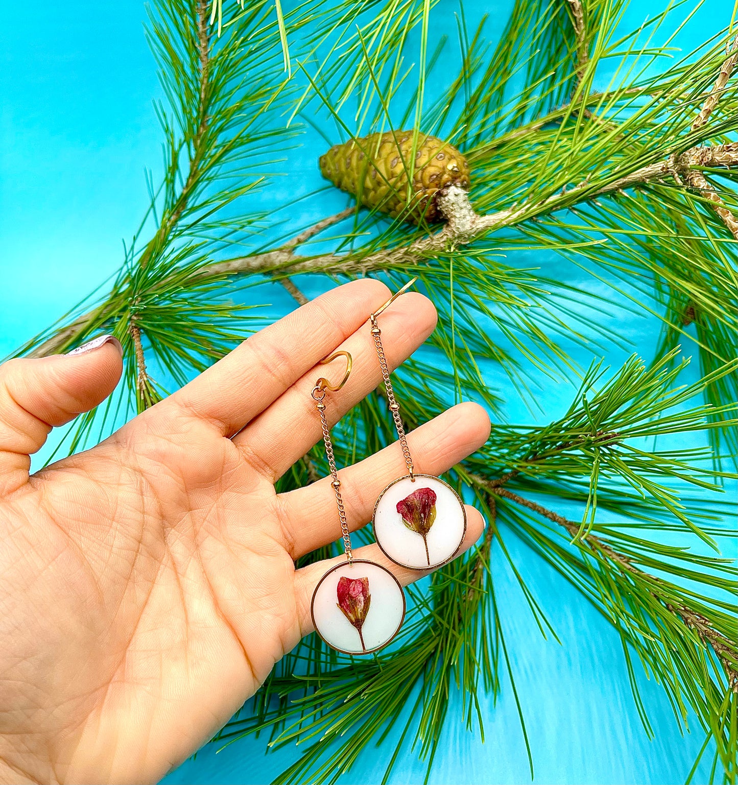 π΅πππππππ πππriamoππ‘πππ