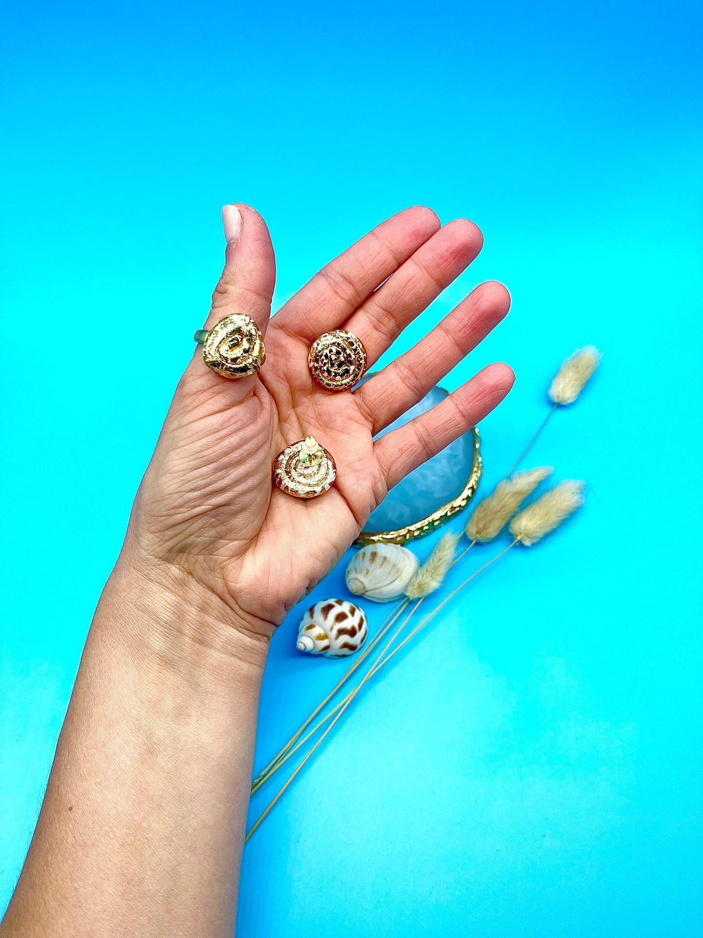 πβπ ππππππ πππ