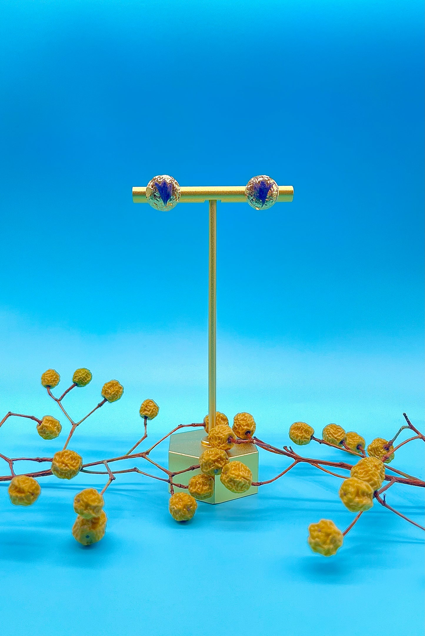 π΅ππ-πππ πππππ‘πβ¨