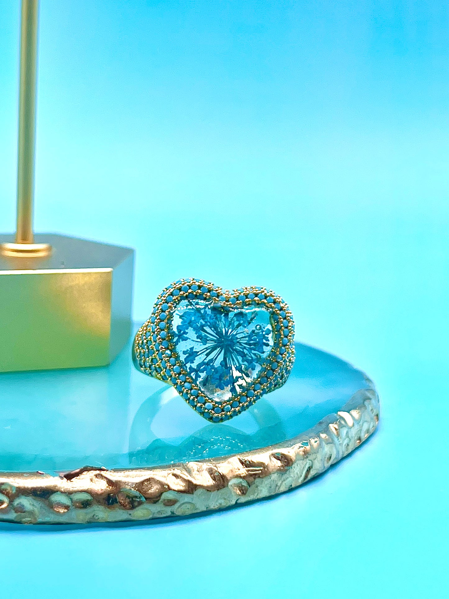 π΄πππππ πππππ ππππππππ