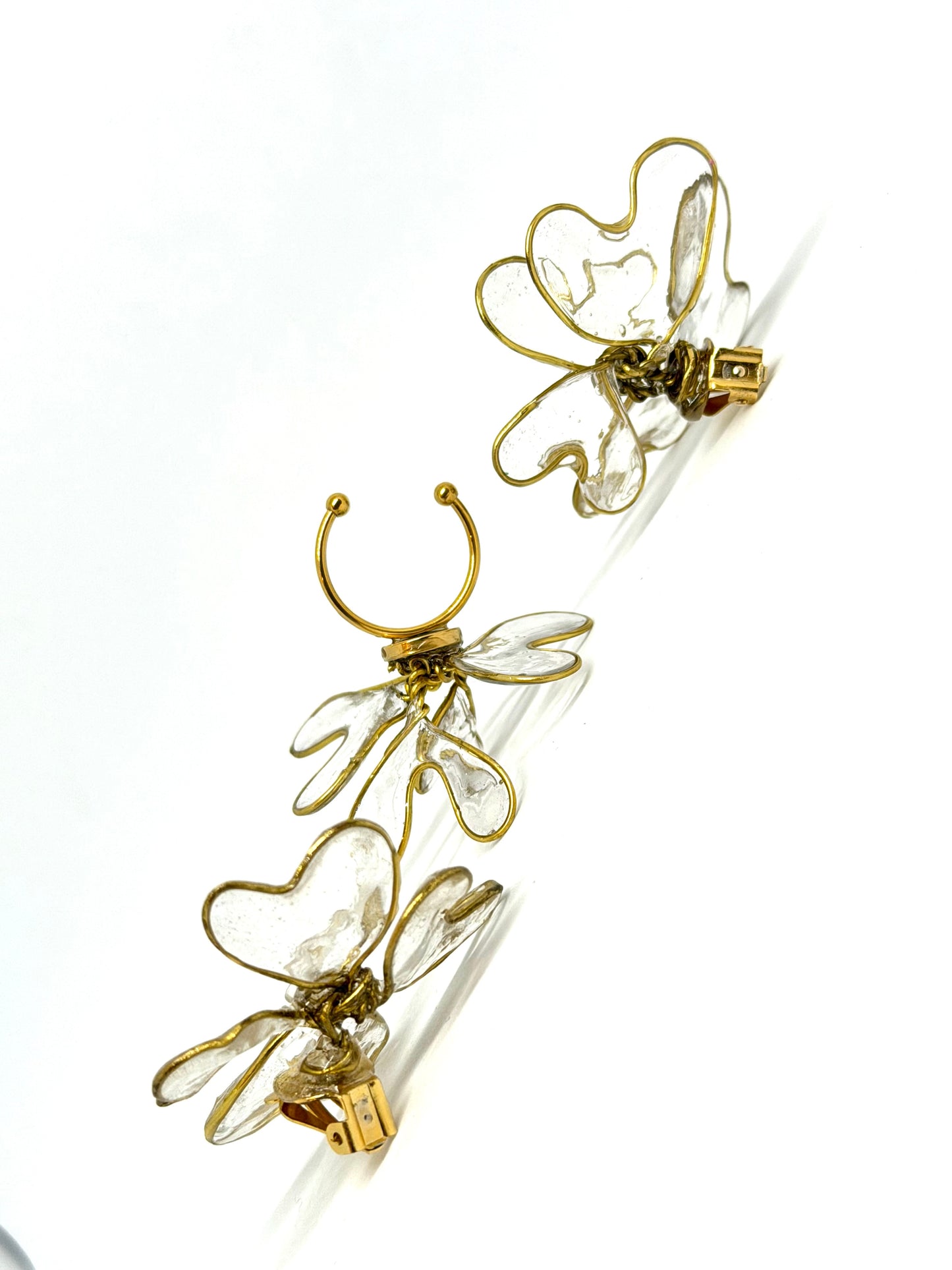 "𝐹𝑖𝑜𝑟𝑖 𝑑'𝐴𝑐𝑞𝑢ha"